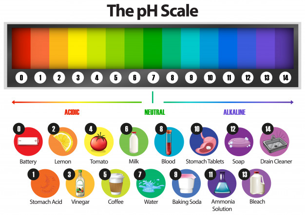 The pH Scale of different items