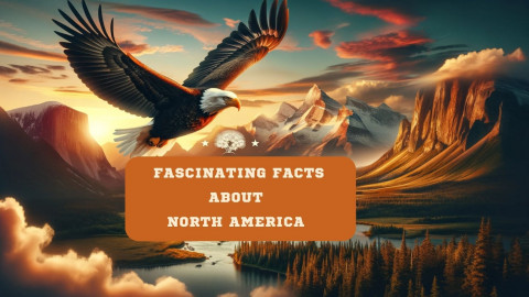 Unearthing North America's Fascinating Facts: From Wildlife to Art Schools