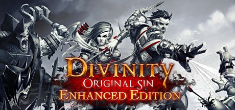 video game Divinity