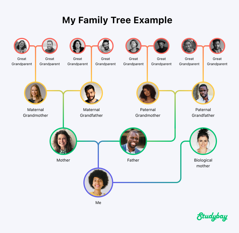 Family Tree Infographics Example