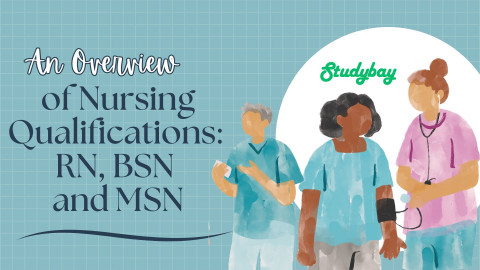Difference Between RN, BSN, and MSN – Program Overview
