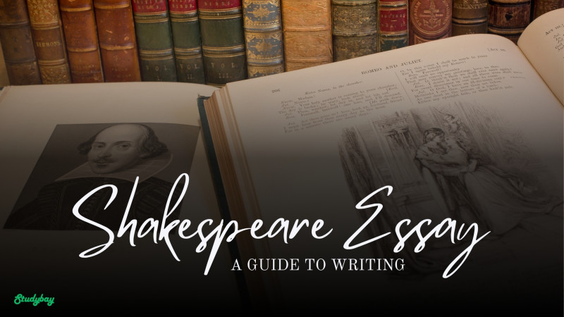 A Guide to Writing an Outstanding Shakespeare Essay