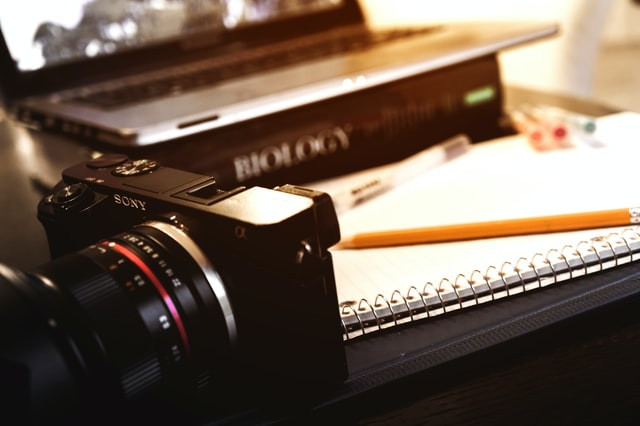 How To Write A Biology Essay A Guide To Writing Biological Essays