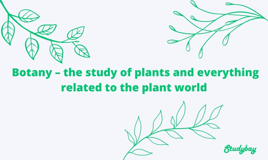 what-is-botany-meaning-of-botany-in-science-and-as-career-path