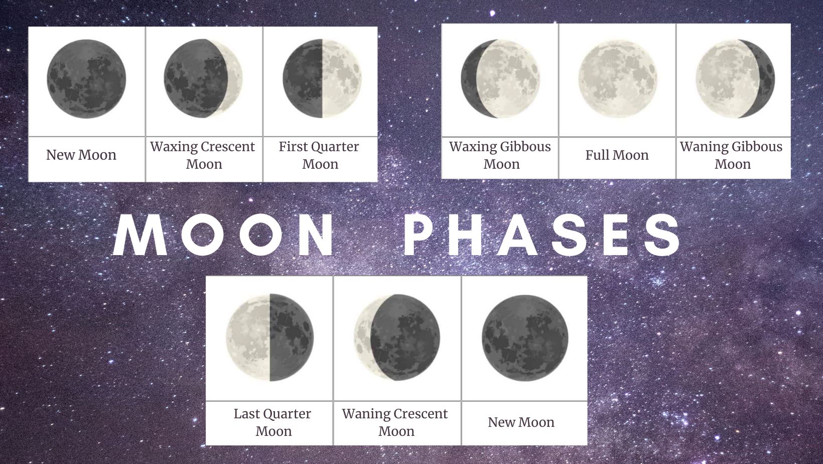 moon phases