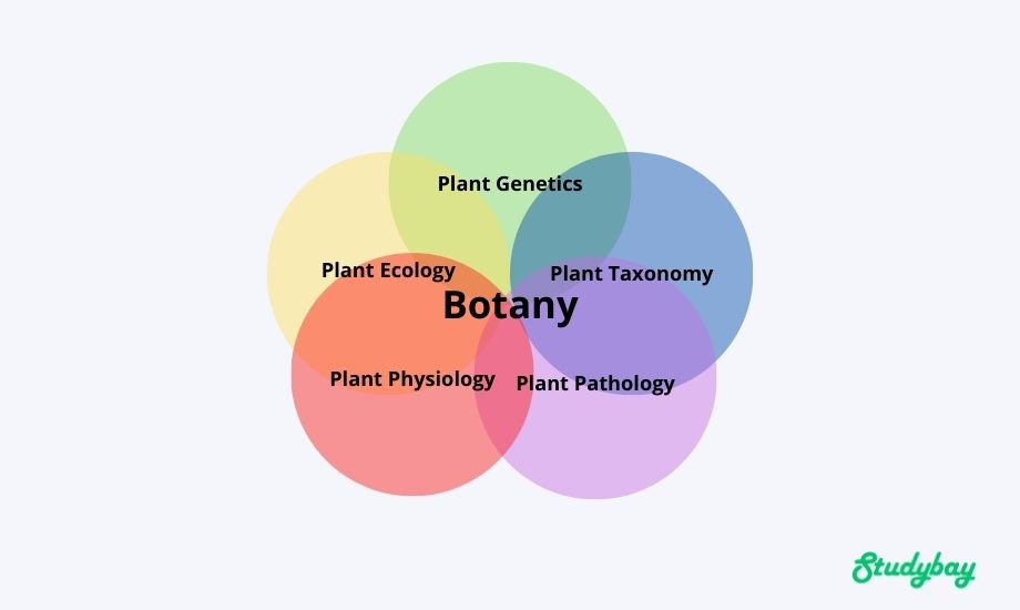 Types of botany